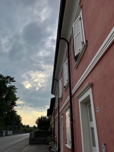 Vischaus