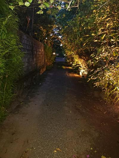 Camelia Holiday Resort