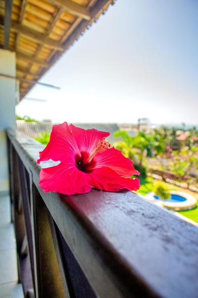 Milano Hotel Pousada Canoa Quebrada