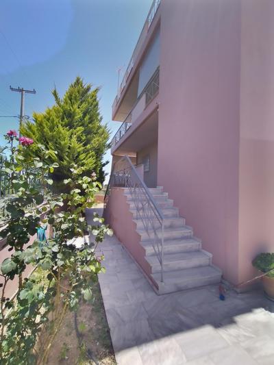 cozy house near the beach