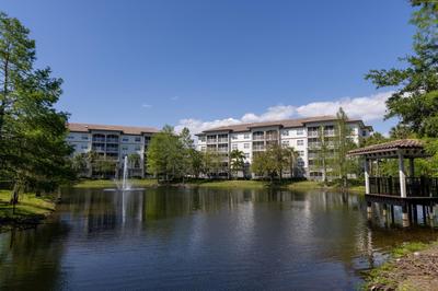 Sheraton Vistana Villages Resort Villas, I-Drive Orlando, Φωτογραφία 2