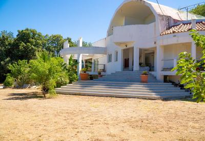 Daphne's Tropical House Rhodes