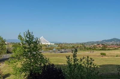 Tor Vergata Big Living Apartment