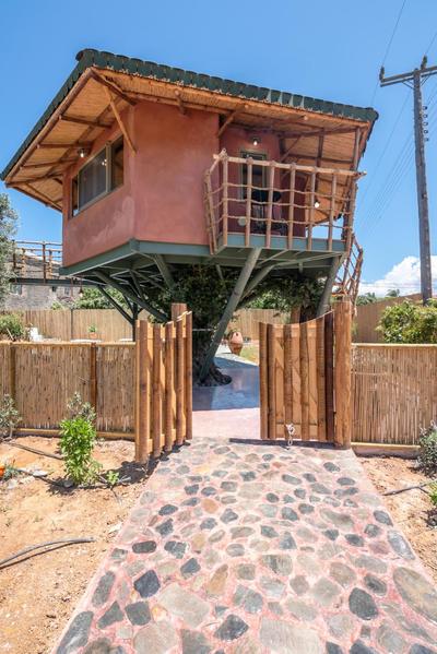 Eco Olive Treehouse