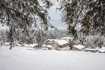 Hunderesort Waldeck - Urlaub mit Hund - Superior