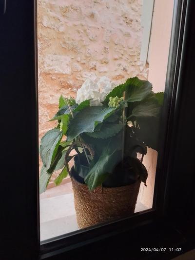 Heraklion Central Home