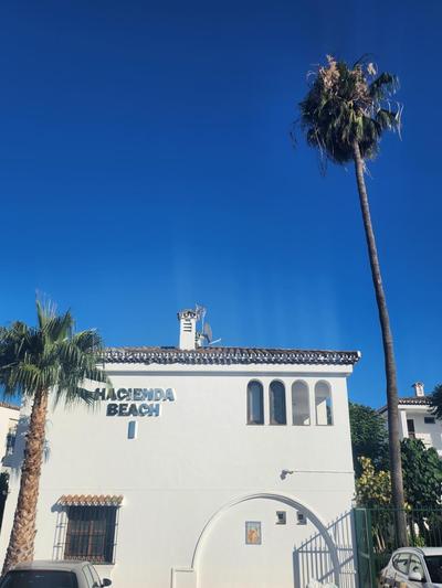 Sunflower Beach House