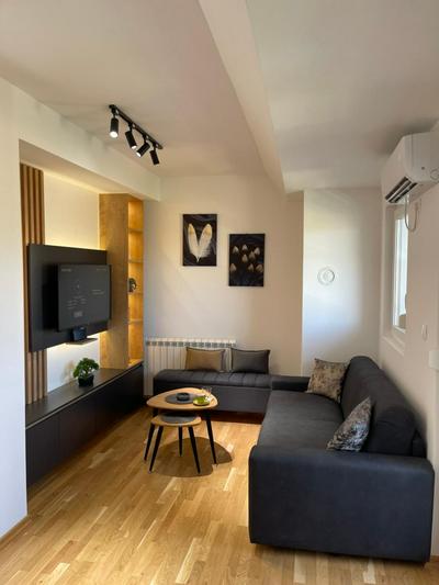 Cozy lux mountain apartment
