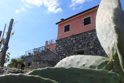 La casa di Sassolino