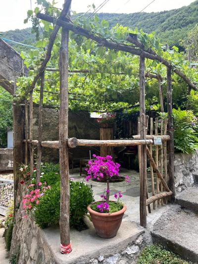 Room-Antica