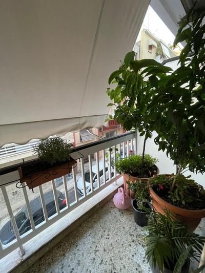 Kate's Nest Athens