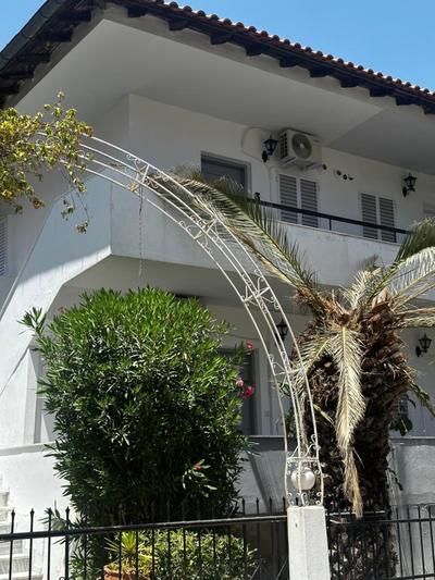Palm trees apartment