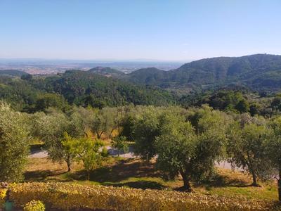 Agriturismo Il Bel Vedere