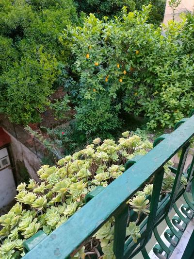 A casa di Freddie