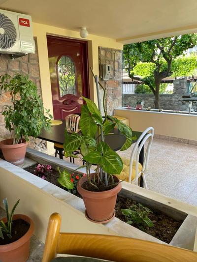 Peculiar Garden Apartment