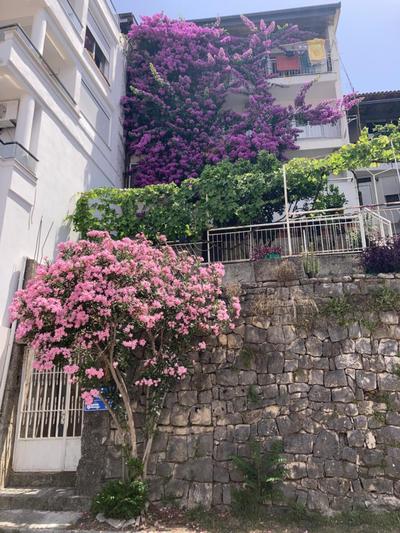 Marina cozy and seaview apartment