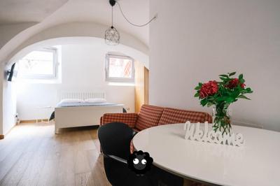 Flat Il Torrazzo XIII Secolo