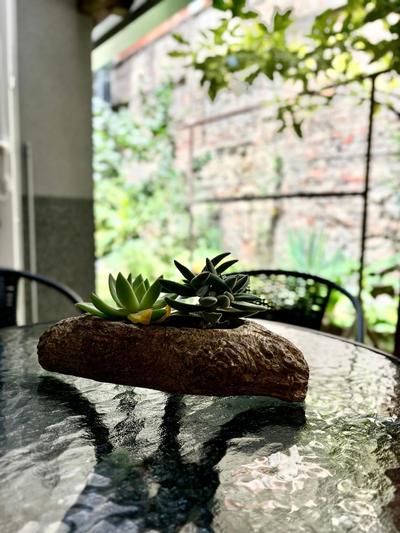 Apartman Croatea
