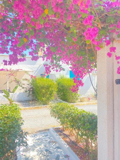 Peaceful Cottage House - Private Garden