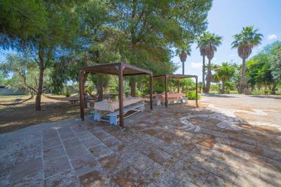 Masseria Le Palmentelle Pool And Garden - Happy Rentals