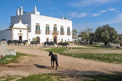 Masseria Tagliente By Raro Villas
