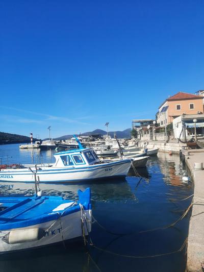 Apartman u zelenilu Bigove