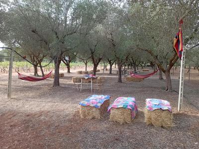 Tenuta L'uliveto