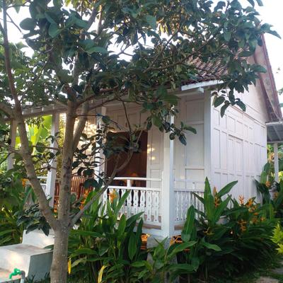 Pondok Daun D Martin Mitra RedDoorz near UMY