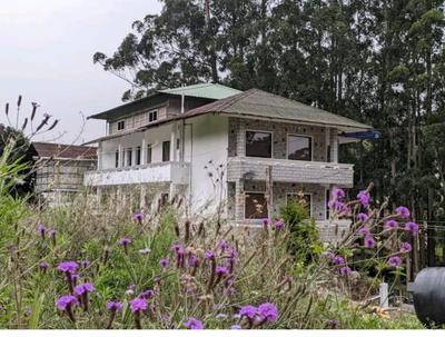 Tree Elanza, Unit of Santhi Ayurvedic Resort