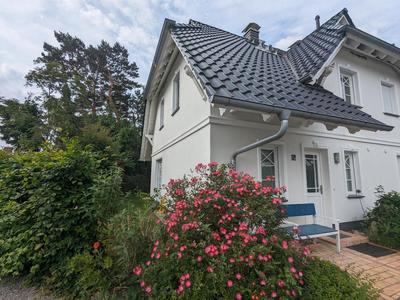 Dünenrose