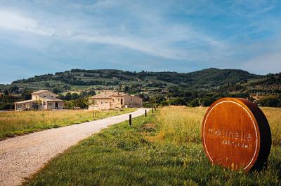 Agriturismo Molinella