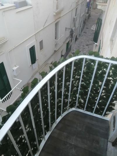 Casa Adina