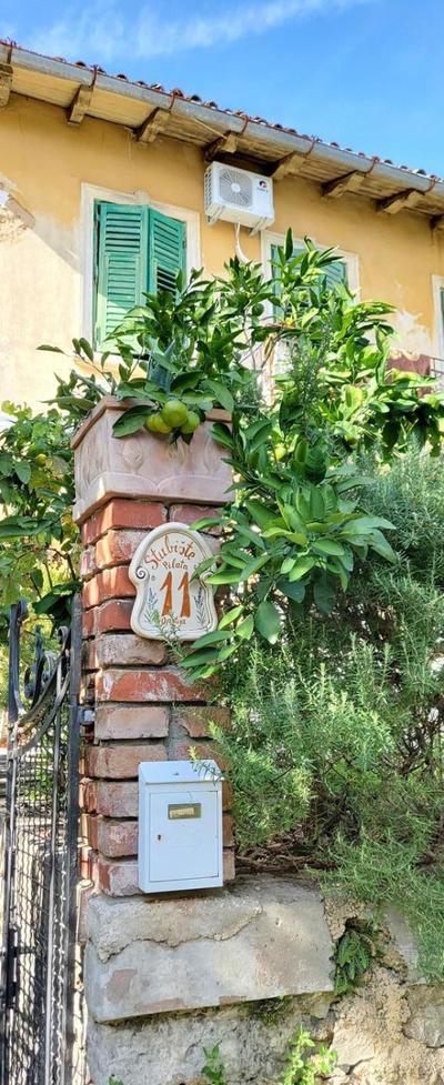 Petite Provence aux Mandarines