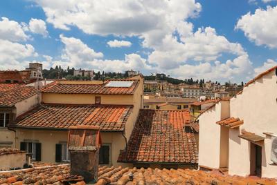Apartments Florence- Attico dei Neri with view