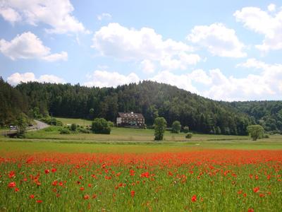 Waldpension Rabeneck