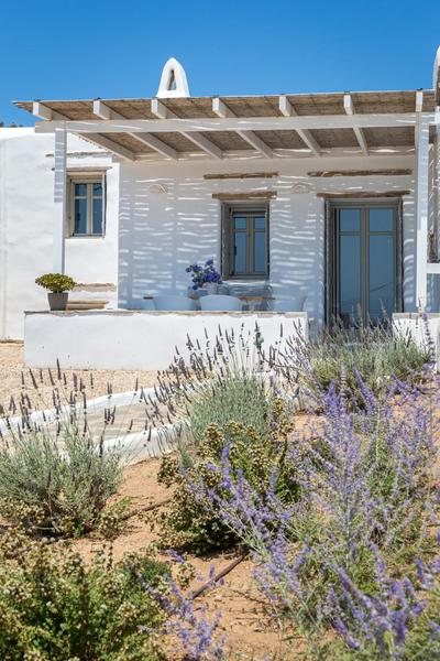 SUGAR CUBE Santa Maria