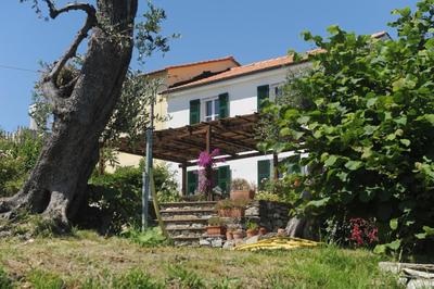 Casa Franguella - Uliveto sul mare