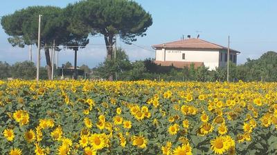 Bilocale Agriturismo Le Pinete a Riotorto