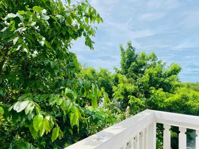 Rice River Villa - Hoi An