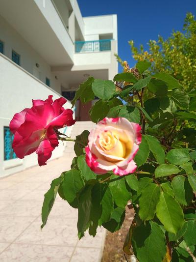 Ero Aegina Hospitality