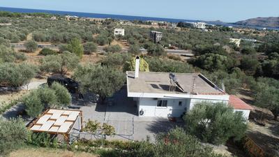 Evgenias Olive House