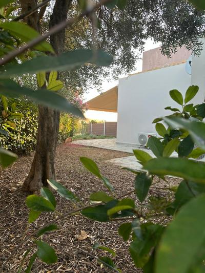 Drapano Tranquil Home