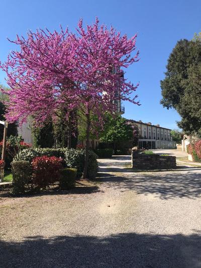 Casa vacanze La Cerrina