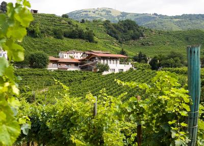 Antica Rinaldo