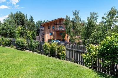 Schartneralm Birke