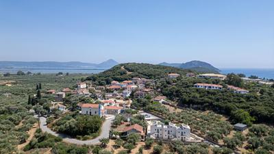 Prodano