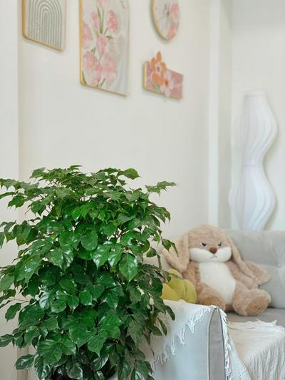 Vinhomes Smartcity - Tòa Masteri - Trốn Homestay