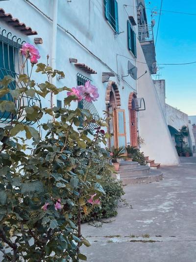 Il cortile fiorito