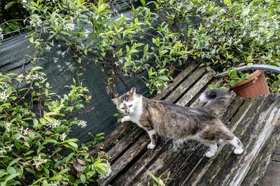 Case Appartamenti Vacanze Da Cien