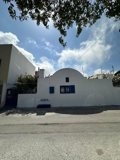 Nikolakis traditional house in the village.